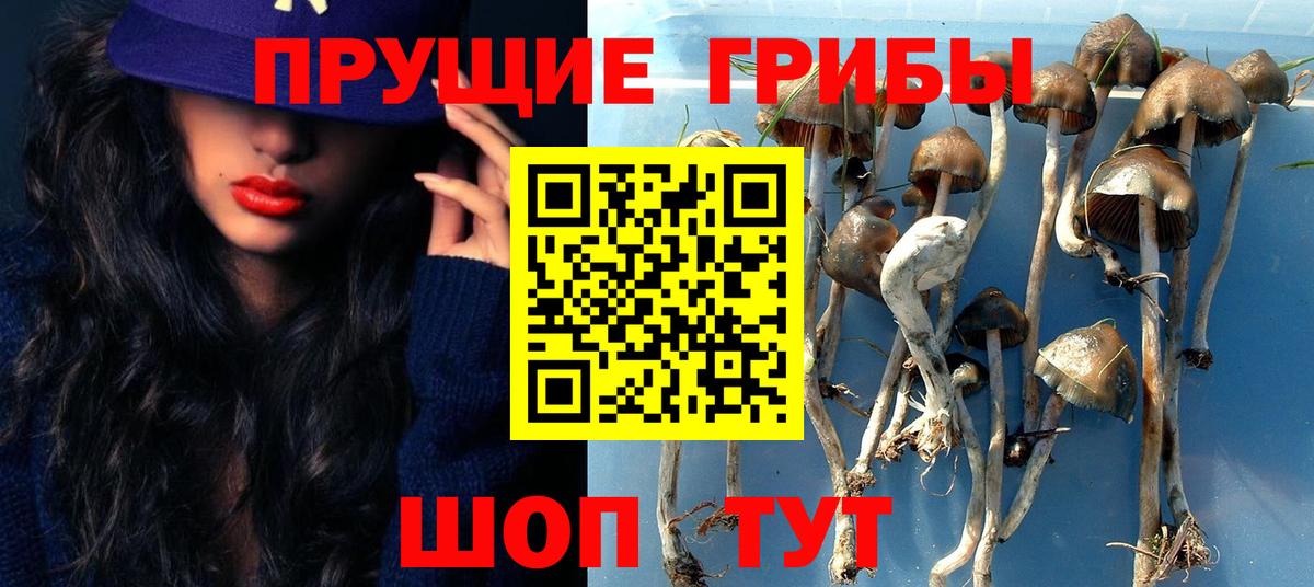 Галлюциногенные грибы мицелий  Вход с VPN  Троицк 