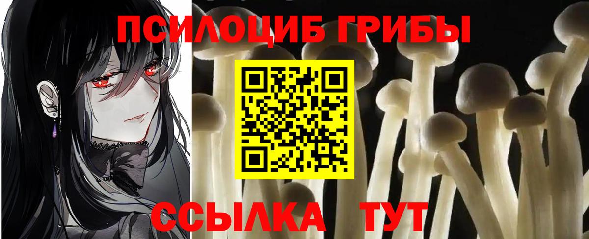 Галлюциногенные грибы GOLDEN TEACHER Троицк